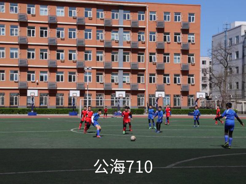 公海710概况